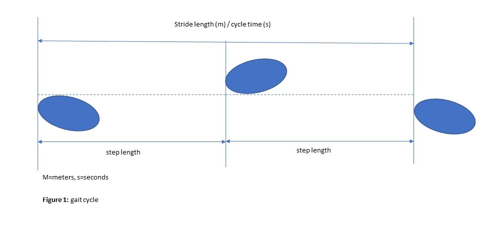 Gait pattern_cropped